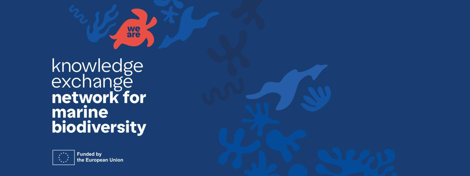 navy blue seascape background with red turtle overlay