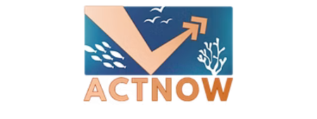 Actnow logo - orange arrow above 'Act Now' orange text on blue background