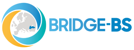 Bridge-BS logo - blue text on white background