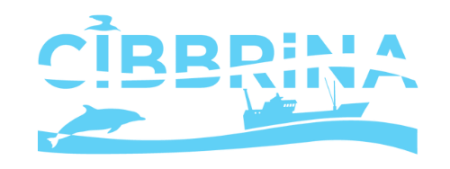 CIBRINA logo - blue text with dolphin and boat silhouette in blue on white background