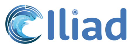 Iliad - blue circle with wave inside 