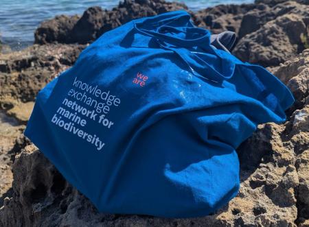 KEN Marine Network for Biodiversity blue tote bag on rock