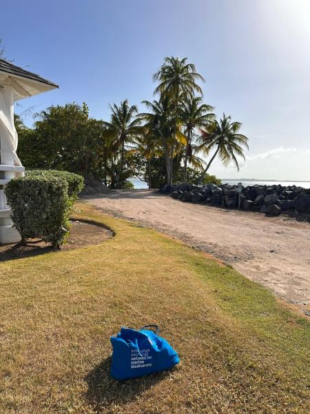 tote bag in tropical setting