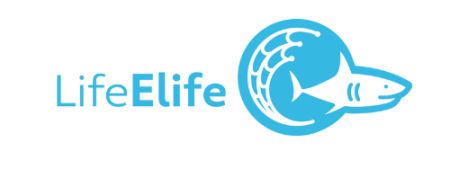 LifeElife logo - light blue circle with shark swimming out