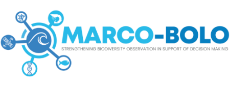 Marco-Bolo