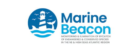 Marine Beacon logo - light house with whale silhouette below - in light and dark blue tones