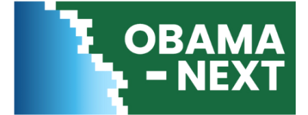 OBAMA-NEXT logo - shoreline pixel view