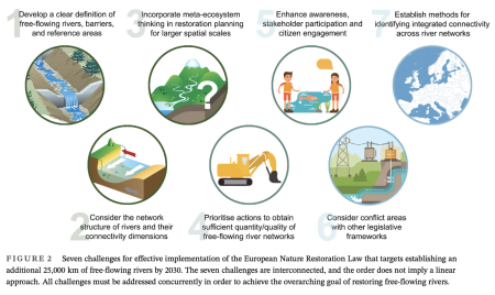 even challenges for effective implementation of the European Nature Restoration Law 