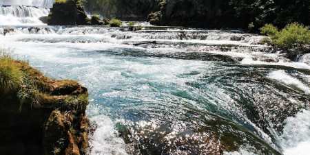 freshwater