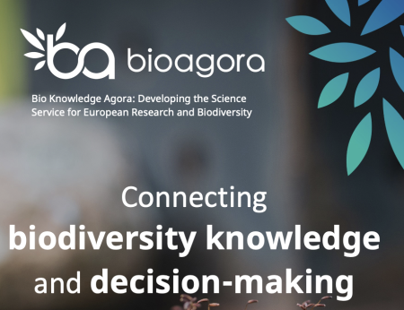 connecting biodiversity knowledge and decision making - report cover 