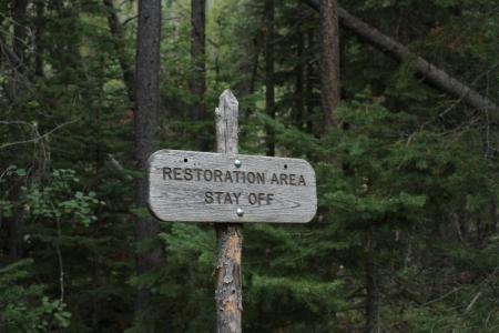 Restoration sign in the middle if the forest