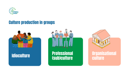 types of groups graphic showing idioculture, professional culture, and organisational culture