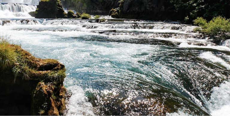 freshwater 