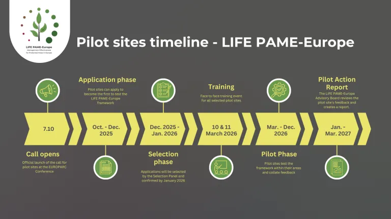 pilot sites timeline