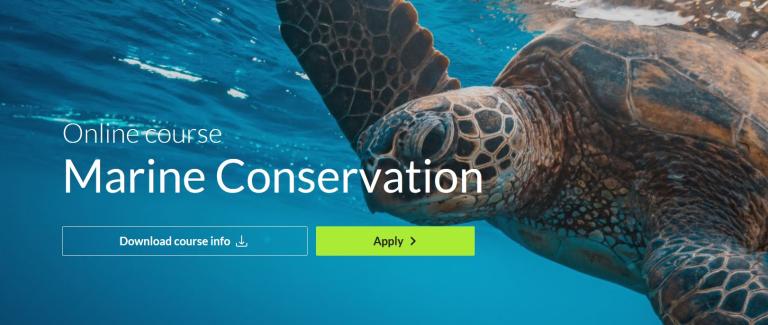 Marine Conservation (GVI Online Course)