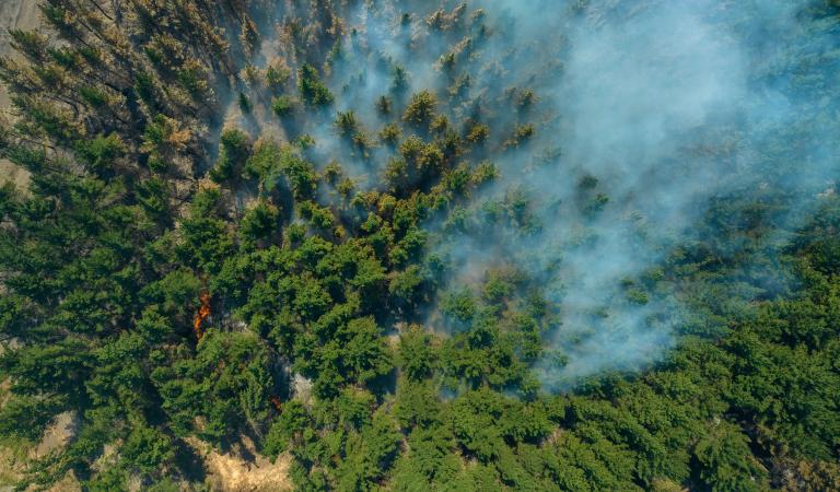 wildfire overhead view